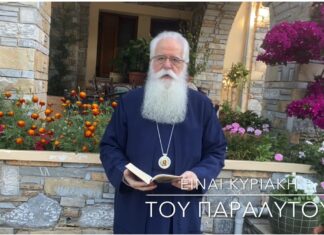 Ο Μητροπολίτης Δημητριάδος Ιγνάτιος για την Κυριακή του Παραλύτου