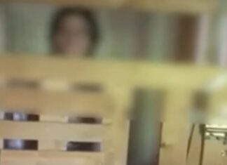 Νέο «Κωσταλέξι» στην Καλαμάτα: 29χρονη γυναίκα ζει κλεισμένη σε κλουβί