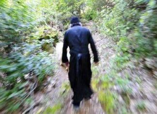 Ο γέροντας και ο νεαρός μοναχός