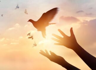 Όταν συγχωρείς κερδίζεις περισσότερα από εκείνα που δίδεις