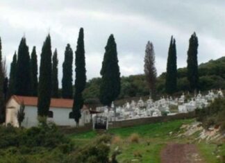 Γιατί στα νεκροταφεία φυτεύουν κυπαρίσσια