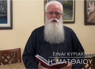 Ο Δημητριάδος Ιγνάτιος για την Κυριακή H΄ Ματθαίου