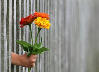 Μη λες ποτέ: «Εμένα κανείς δεν μ’ αγαπά»