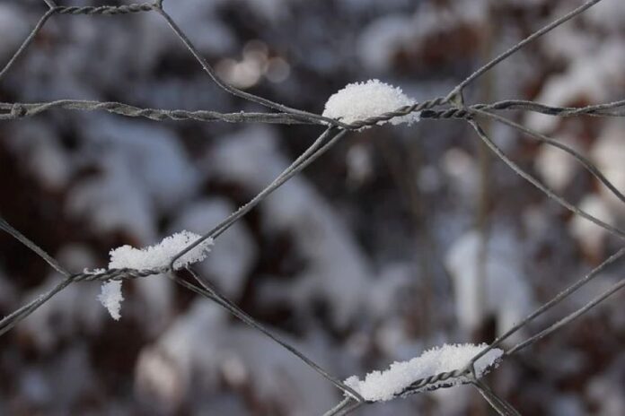 wire-fence-7705237_640