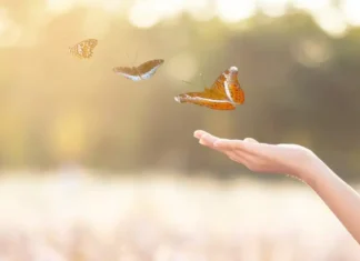 Πώς μπορώ να είμαι χαρούμενος κάθε μέρα;