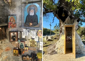 Η δεντροκκλησιά του Αγίου Παϊσίου