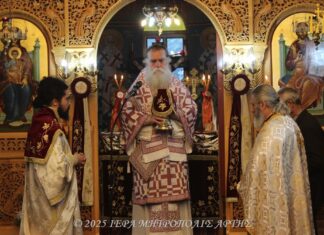 Άρτης Καλλίνικος: Η Θεία Κοινωνία είναι ένωση με τον Θεό και πηγή ζωής