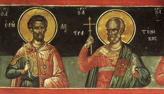 49753070_2605650912839471_3534079909271961600_n-1