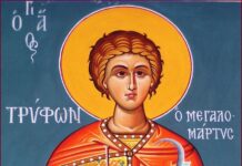 Άγιος Τρύφων: Ποιους προστατεύει και ποιες παθήσεις γιατρεύει;