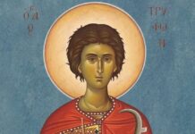 Εορτή του Αγίου Τρύφωνος – Συναξάρι