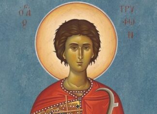 Εορτή του Αγίου Τρύφωνος – Συναξάρι