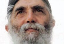 Γέροντα Παΐσιε πως πρέπει να προετοιμάζομαι για τη Θεία Κοινωνία;