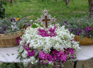 Πως χρησιμοποιούμε τα Σταυρολούλουδα από την Κυριακή της Σταυροπροσκυνήσεως;