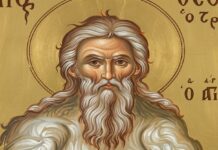 Εορτή του Οσίου Θεοδώρου, του Τριχινά – Συναξάρι