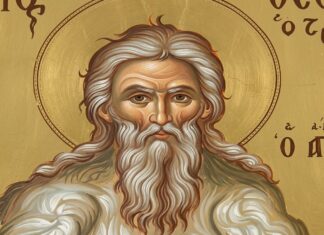 Εορτή του Οσίου Θεοδώρου, του Τριχινά – Συναξάρι