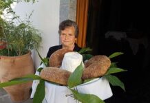 Γιατί γονατίζουμε την Κυριακή της Πεντηκοστής πάνω σε φύλλα καρυδιάς; – Ποιος είναι ο συμβολισμός;
