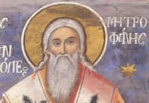 Εορτή του Αγίου Μητροφάνους – Συναξάρι