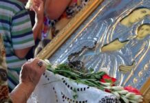 Πότε βγαίνουν τα φιδάκια της Παναγίας; – Τι συμβολίζουν και τι σημαίνει αν δεν εμφανιστούν